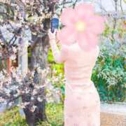 ヒメ日記 2025/03/27 09:22 投稿 桜花(おうか)☆ CLUB PIAA