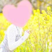 ヒメ日記 2025/03/30 09:04 投稿 桜花(おうか)☆ CLUB PIAA