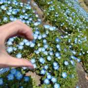 ヒメ日記 2025/04/04 11:06 投稿 桜花(おうか)☆ CLUB PIAA