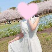 ヒメ日記 2025/04/06 09:20 投稿 桜花(おうか)☆ CLUB PIAA