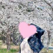 ヒメ日記 2025/04/10 09:16 投稿 桜花(おうか)☆ CLUB PIAA