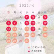 ヒメ日記 2025/04/11 12:24 投稿 桜花(おうか)☆ CLUB PIAA