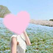 ヒメ日記 2025/04/12 09:16 投稿 桜花(おうか)☆ CLUB PIAA