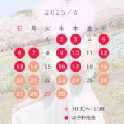 ヒメ日記 2025/04/12 20:26 投稿 桜花(おうか)☆ CLUB PIAA