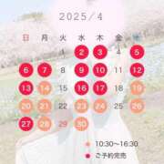 ヒメ日記 2025/04/13 19:15 投稿 桜花(おうか)☆ CLUB PIAA