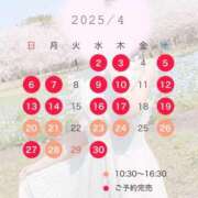 ヒメ日記 2025/04/15 12:26 投稿 桜花(おうか)☆ CLUB PIAA