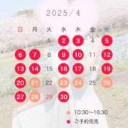 ヒメ日記 2025/04/17 21:43 投稿 桜花(おうか)☆ CLUB PIAA