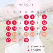 ヒメ日記 2025/04/17 21:56 投稿 桜花(おうか)☆ CLUB PIAA