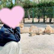 ヒメ日記 2025/04/18 12:06 投稿 桜花(おうか)☆ CLUB PIAA