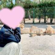 ヒメ日記 2025/04/18 12:23 投稿 桜花(おうか)☆ CLUB PIAA