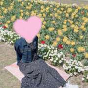 ヒメ日記 2025/04/19 09:16 投稿 桜花(おうか)☆ CLUB PIAA