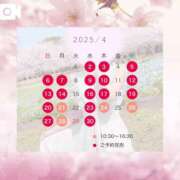 ヒメ日記 2025/04/19 23:36 投稿 桜花(おうか)☆ CLUB PIAA