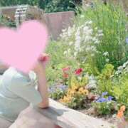 ヒメ日記 2025/04/21 09:08 投稿 桜花(おうか)☆ CLUB PIAA