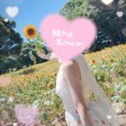 ヒメ日記 2025/07/31 19:15 投稿 桜花(おうか)☆ CLUB PIAA