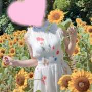 ヒメ日記 2025/08/04 09:23 投稿 桜花(おうか)☆ CLUB PIAA