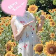 ヒメ日記 2025/08/26 10:01 投稿 桜花(おうか)☆ CLUB PIAA