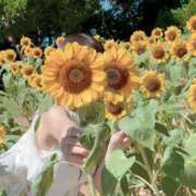 ヒメ日記 2025/08/27 10:01 投稿 桜花(おうか)☆ CLUB PIAA