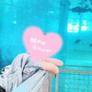 ヒメ日記 2025/10/20 16:44 投稿 桜花(おうか)☆ CLUB PIAA