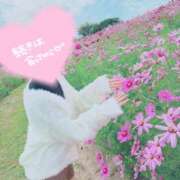 ヒメ日記 2025/11/01 18:02 投稿 桜花(おうか)☆ CLUB PIAA