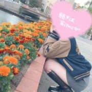 桜花(おうか)☆ 11月🈵12月お約束受付中です🥰💌 CLUB PIAA