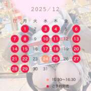 ヒメ日記 2025/12/22 08:50 投稿 桜花(おうか)☆ CLUB PIAA