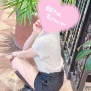 ヒメ日記 2025/12/29 08:59 投稿 桜花(おうか)☆ CLUB PIAA