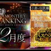 ヒメ日記 2026/01/17 15:01 投稿 桜花(おうか)☆ CLUB PIAA