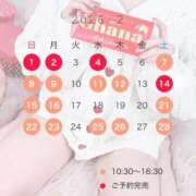 ヒメ日記 2026/02/04 19:33 投稿 桜花(おうか)☆ CLUB PIAA