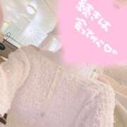 ヒメ日記 2026/02/28 09:20 投稿 桜花(おうか)☆ CLUB PIAA