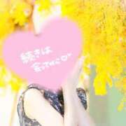 ヒメ日記 2026/03/11 19:01 投稿 桜花(おうか)☆ CLUB PIAA