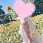 ヒメ日記 2026/03/29 09:09 投稿 桜花(おうか)☆ CLUB PIAA