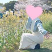 ヒメ日記 2026/04/06 07:22 投稿 桜花(おうか)☆ CLUB PIAA