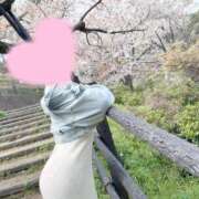 ヒメ日記 2026/04/08 09:03 投稿 桜花(おうか)☆ CLUB PIAA