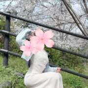 ヒメ日記 2026/04/09 09:01 投稿 桜花(おうか)☆ CLUB PIAA