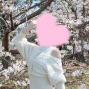 ヒメ日記 2026/04/11 09:03 投稿 桜花(おうか)☆ CLUB PIAA