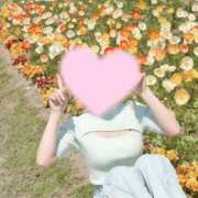 ヒメ日記 2026/05/10 09:06 投稿 桜花(おうか)☆ CLUB PIAA