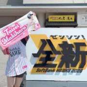 ヒメ日記 2026/05/20 23:22 投稿 桜花(おうか)☆ CLUB PIAA
