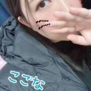 ヒメ日記 2025/03/29 17:59 投稿 ここな ぽっちゃり巨乳専門木更津君津ちゃんこin千葉