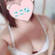 ヒメ日記 2026/01/31 18:47 投稿 ここな ぽっちゃり巨乳専門木更津君津ちゃんこin千葉