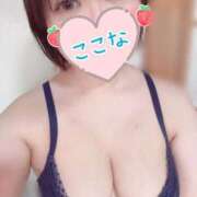 ここな お礼♡ ぽっちゃり巨乳専門木更津君津ちゃんこin千葉
