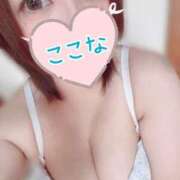 ヒメ日記 2026/10/02 14:16 投稿 ここな ぽっちゃり巨乳専門木更津君津ちゃんこin千葉