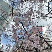 ヒメ日記 2026/03/18 19:21 投稿 えま★完全未経験のド素人美少女 S級素人清楚系デリヘル chloe