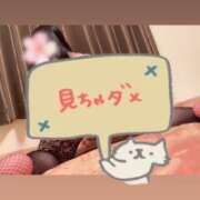ヒメ日記 2026/09/24 12:11 投稿 えま★完全未経験のド素人美少女 S級素人清楚系デリヘル chloe
