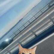 ヒメ日記 2025/02/21 13:08 投稿 しふぁ とある風俗店♡やりすぎさーくる新宿大久保店♡で色んな無料オプションしてみました