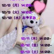 ヒメ日記 2025/12/08 04:00 投稿 しふぁ とある風俗店♡やりすぎさーくる新宿大久保店♡で色んな無料オプションしてみました