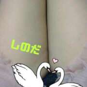 ヒメ日記 2025/06/28 12:24 投稿 篠田 熟女の風俗最終章 横浜本店