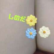 ヒメ日記 2025/07/03 09:44 投稿 篠田 熟女の風俗最終章 横浜本店