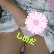 ヒメ日記 2025/08/27 20:54 投稿 篠田 熟女の風俗最終章 横浜本店