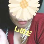 ヒメ日記 2025/09/29 20:54 投稿 篠田 熟女の風俗最終章 横浜本店