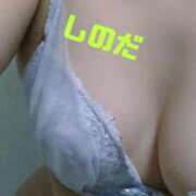 ヒメ日記 2025/12/13 09:49 投稿 篠田 熟女の風俗最終章 横浜本店